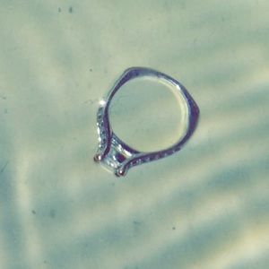 Meet your Posher, Sentry